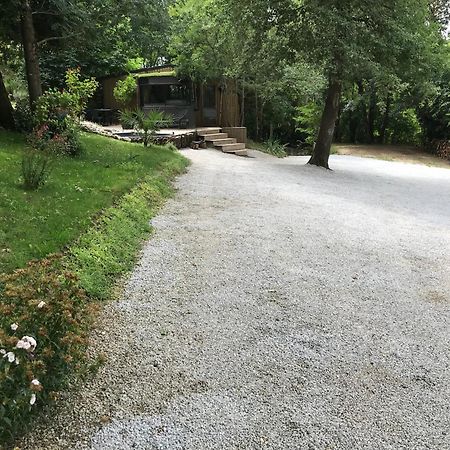Bus Atypique Au Bord Du Canal Du Midi Et Au Coeur D'Une Foret 2 Chambres Villepinte  Zewnętrze zdjęcie