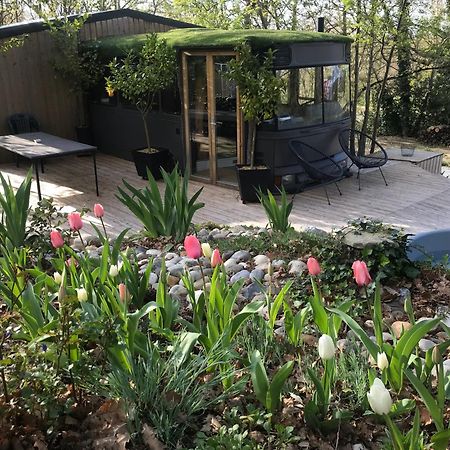 Bus Atypique Au Bord Du Canal Du Midi Et Au Coeur D'Une Foret 2 Chambres Villepinte  Zewnętrze zdjęcie