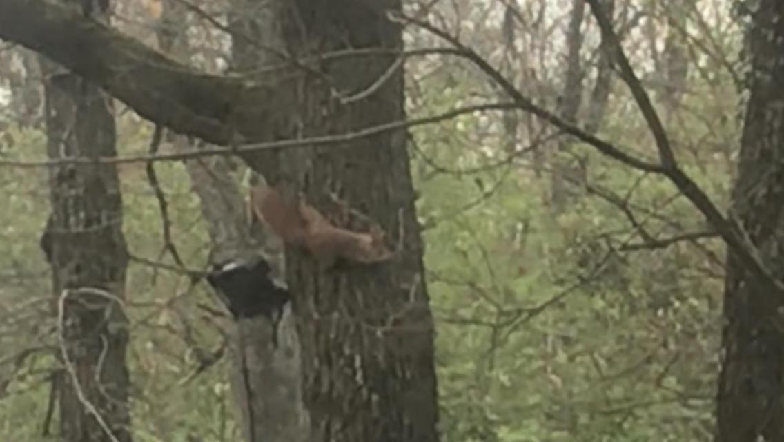 Bus Atypique Au Bord Du Canal Du Midi Et Au Coeur D'Une Foret 2 Chambres Villepinte  Zewnętrze zdjęcie