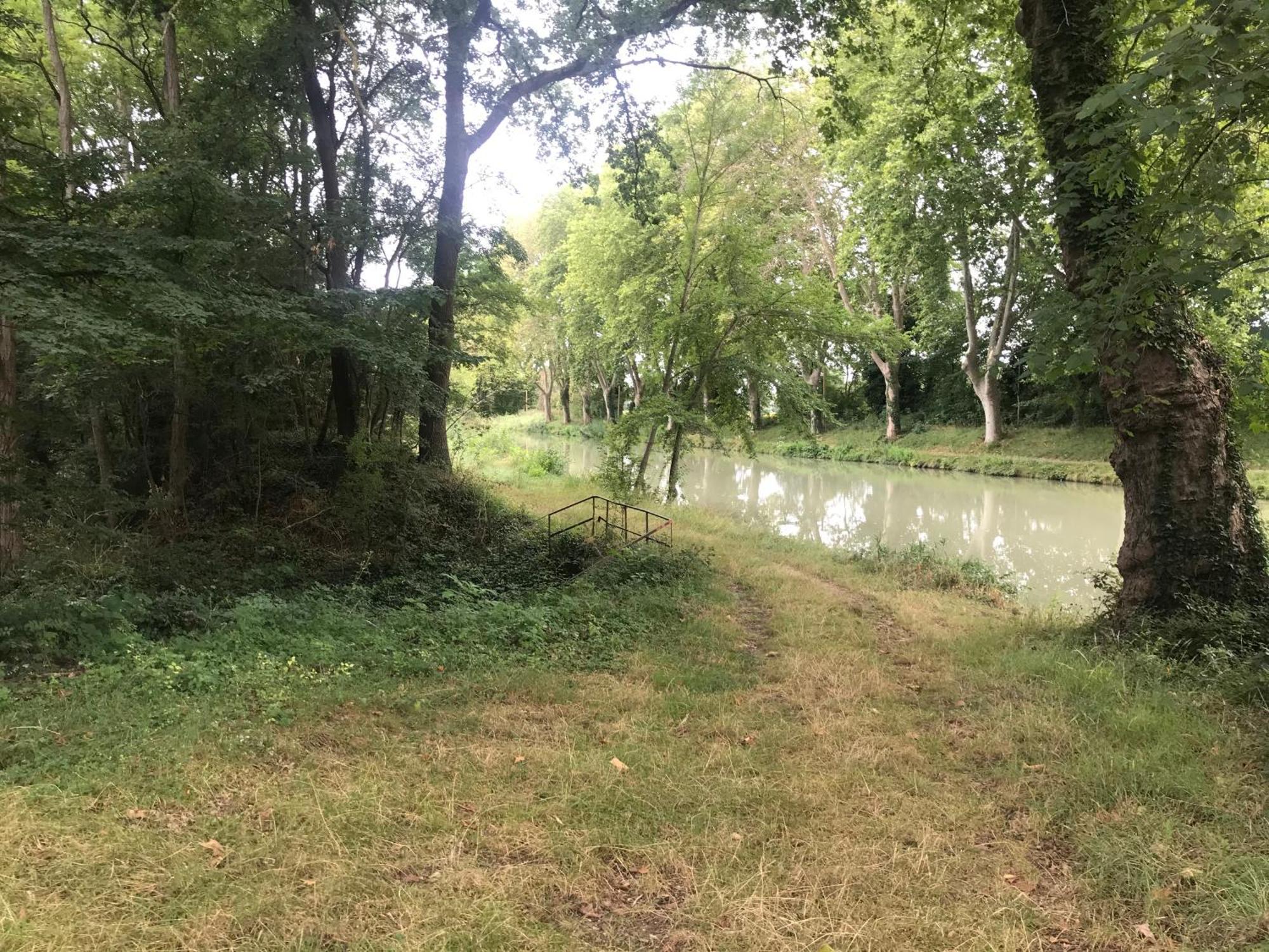 Bus Atypique Au Bord Du Canal Du Midi Et Au Coeur D'Une Foret 2 Chambres Villepinte  Zewnętrze zdjęcie
