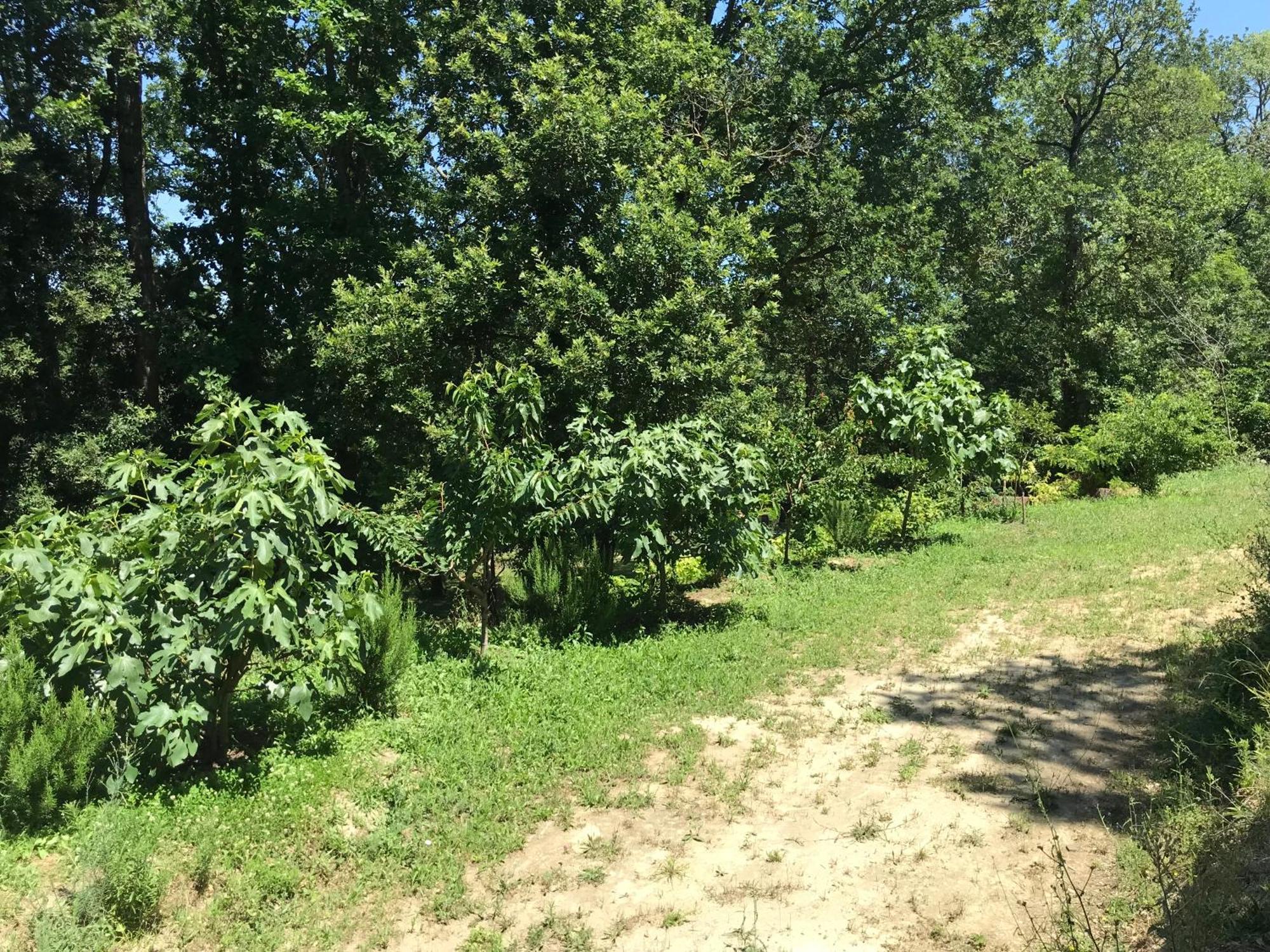 Bus Atypique Au Bord Du Canal Du Midi Et Au Coeur D'Une Foret 2 Chambres Villepinte  Zewnętrze zdjęcie