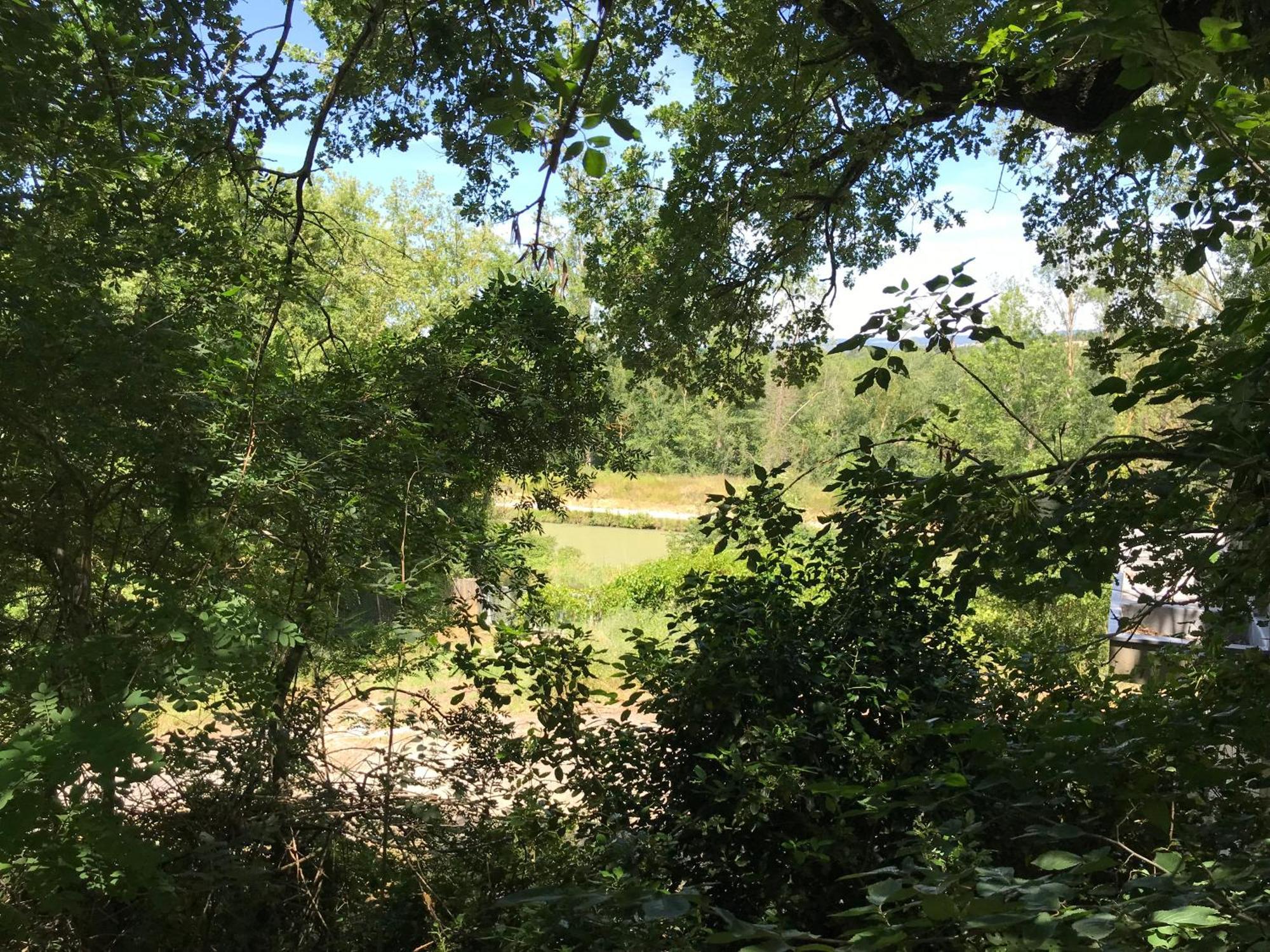 Bus Atypique Au Bord Du Canal Du Midi Et Au Coeur D'Une Foret 2 Chambres Villepinte  Zewnętrze zdjęcie